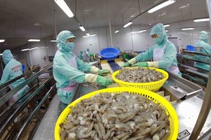 Shrimp exports expected to hit US$4 billion in 2024
