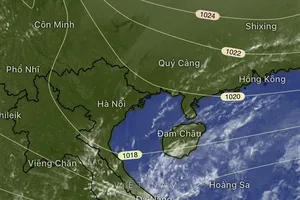 Strong cold wave alerted for North this week