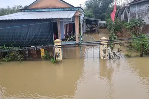 Rivers in Quang Ngai experience flooding as result of persistent heavy rains