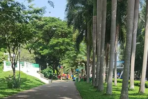 HCMC sets to achieve one square meter of green space per capita by 2030