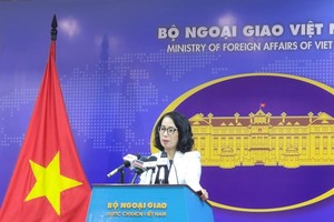 Foreign ministry speaks on whether Vietnam intends to join BRICS