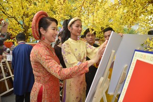 Diverse cultural activities run during Vietnamese Tet Festival 2025 