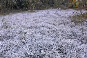 Frost appears in various places in Northern mountainous provinces