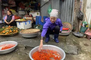 Hanoi markets bustle as residents prepare for Kitchen Gods’ Day