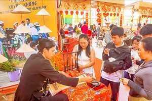 Purchasing power for Tet through traditional channels increases insignificantly