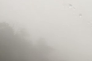 Dense fog, drizzle drop visibilities across Northern places