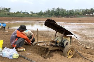 Dak Lak’s agricultural production faces risk of water scarcity