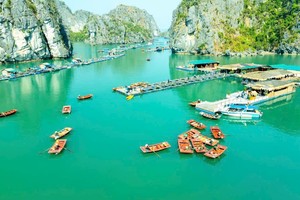 Art festival for climate to be held for first time in Vietnam