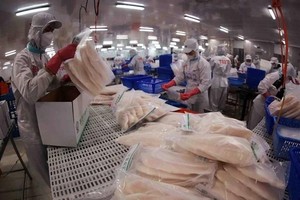Pangasius fish exports on track reach close to US$2 billion in 2025