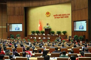 Lawmakers look into amendments to 2013 Constitution
