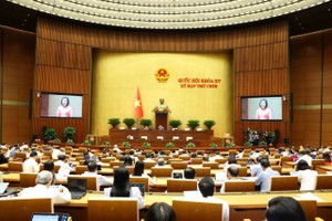 Lawmakers debate shortening tenure of 15th National Assembly