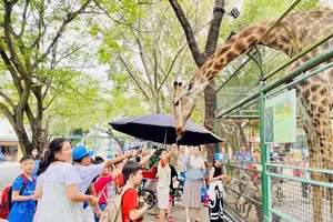 Southern cuisine, fruit festivals during summer kick off in HCMC