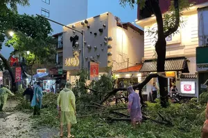 Violent windstorm topples nearly 1,000 trees in Hanoi