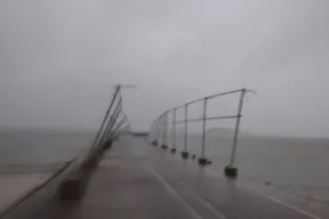 Typhoon Wipha makes landfall in Quang Ninh Province