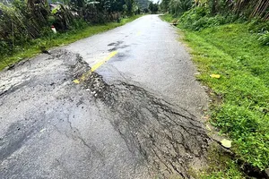 Multiple landslides reported in arterial roads across Quang Ngai Province