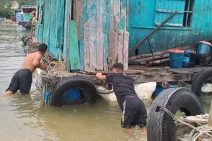 Over 1,300 natural disasters in 2024 leave 514 dead or missing