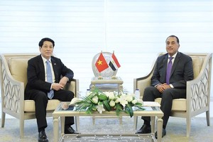 State President Luong Cuong meets with Egyptian Prime Minister