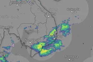 HCMC, Southern region experience heavy rain events