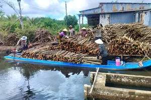 Ca Mau’s century-old charcoal craft endures