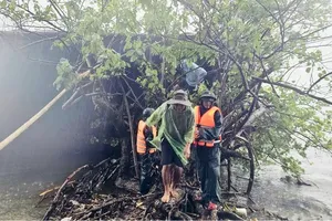 Central localities brace for storm Bualoi, urgently evacuate people