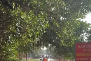 Rainfall over Northern region forecast to ease