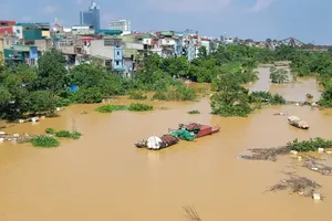 Red River floodwaters submerge middle islet, sandbank in Hanoi