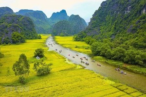 Ninh Binh shines bright in TripAdvisor’s 2025 Choice Awards