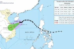 Storm No. 12 targets Central localities from Hue to Quang Ngai