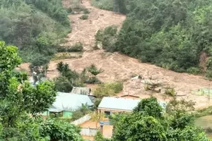 Da Nang City suffers over VND837 bln in damage from historic late-October floods