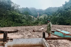 Da Nang City allocates VND210 bln to communes, wards for post-disaster recovery