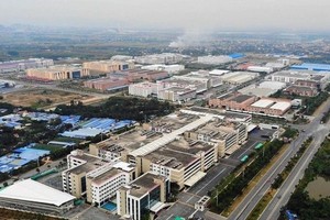 FDI disbursement hits five-year high in 10 months