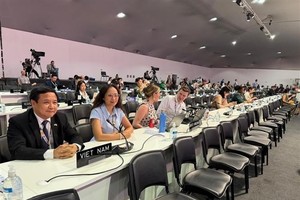 Vietnam participates in parliamentary meeting at COP30