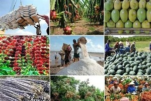 Agricultural associations petition for VAT law amendments