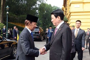 Vietnamese State President chairs welcome ceremony for Sultan of Brunei