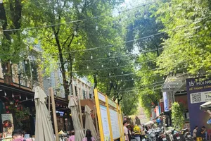 Meaningful activities feature at “Mekong Delta Wet-Rice Civilization” event