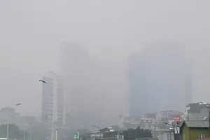 Hanoi blanketed in dense fog on December 13 morning 