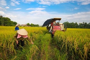 ADB, BIDV support Vietnam’s green agriculture with $250 mln financing package