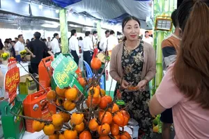 OCOP, agricultural trade promotion event in HCMC showcases regional specialties