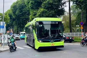 HCMC curbs pollution through transition to green transport