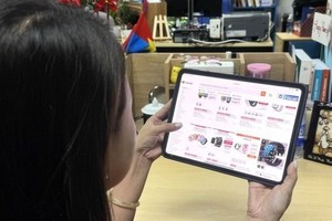 Hanoi leads 2025 Vietnam eBusiness Index