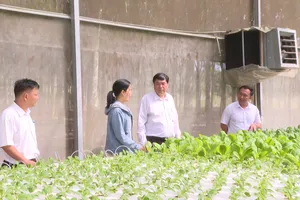  Phường Bến Cát: Tham quan, tìm hiểu các mô hình sản xuất kinh doanh giỏi tại địa phương