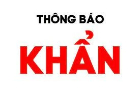 Tìm người đến vựa ve chai số 1, đường Đề Thám, quận 1