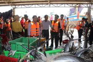 Đoàn kiểm tra tại cảng cá Incomap (phường Vũng Tàu)