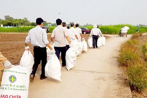 Nông nghiệp bền vững nhờ tham gia bảo vệ môi trường