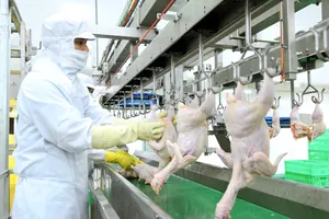 Công ty TNHH San Hà đang thua lỗ khoảng 1 tỷ đồng/ngày