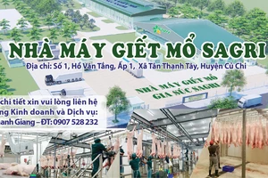 Nhà máy giết mổ SAGRI gia công giết mổ gia súc