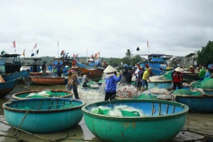 Một sáng ở làng chài Phước Thiện