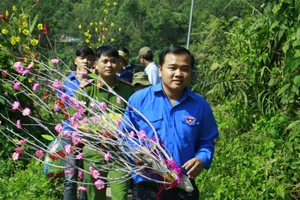 Mang xuân đến với vùng cao