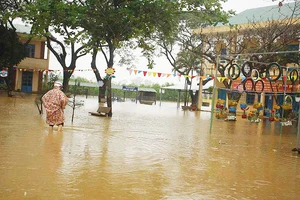 Quảng Ngãi: Mưa lớn làm thiệt hại nhiều diện tích rau màu, hơn 1.060 căn nhà bị ngập