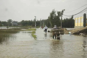 Lũ trên các sông Quảng Ngãi đạt đỉnh và đang xuống